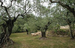 Gorgeous Home In Fayence With Wifi - Fayence - 4