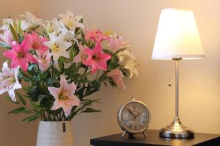 Royal Prague Apartment Celakovskeho Sady - 1