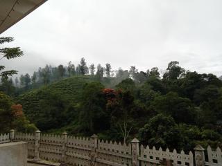 Village Nest - Ella - 1