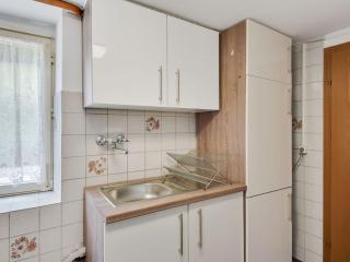 Flat in Black Forest near Ski Slopes - Marzell - 1