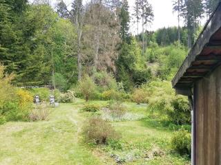 House in Harz with River Access - Kamschlacken - 2