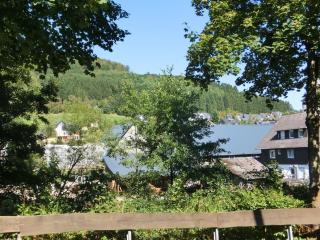 Beautiful holiday home near the ski area - Schmallenberg - 4
