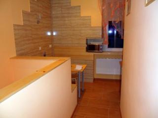 Apartament - Stronie Śląskie - Stronie Śląskie - 0