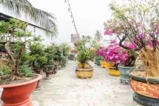 Fairy Hills Hotel - Mui Ne - 4