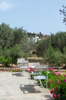 ROSE studio - Apollonia - 9