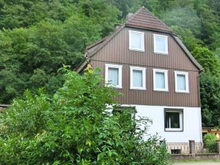 Detached house in the Harz region with a garden - Zorge - 9