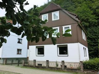 Detached house in the Harz region with a garden - Zorge - 2