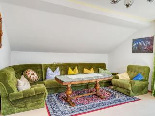 Flat on a farm near the Arber ski area - Neukirchen beim Heiligen Blut - 6