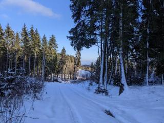Apartment between Winterberg and Willingen - Medebach - 7