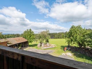 Apartment on a farm near the ski area - Neukirchen beim Heiligen Blut - 4