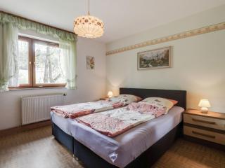 Apartment on a farm near the ski area - Neukirchen beim Heiligen Blut - 8