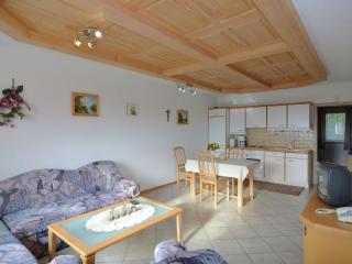 Holiday home with panoramic view - Waldkirchen - 0