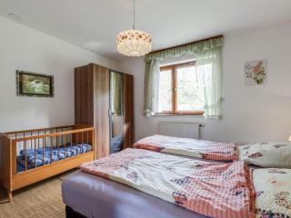 Apartment on a farm near the ski area - Neukirchen beim Heiligen Blut - 6