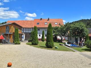 Apartment with private terrace in Hüddingen - Bad Wildungen - 0