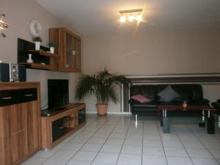 Apartment in Neumagen by Moselle River - Neumagen-Dhron - 9
