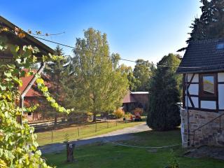 Spacious holiday home in Hesse with garden - 7