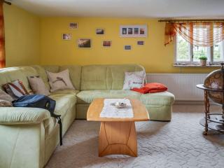 Apartment in Thuringia with garden - - 8