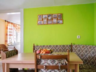 Apartment in Thuringia with garden - - 1