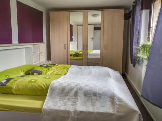 Apartment in Thuringia with garden - - 7