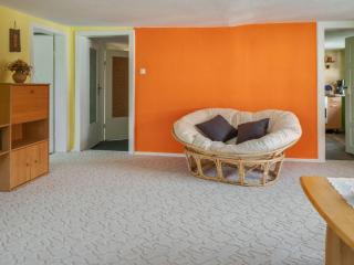 Apartment in Thuringia with garden - - 4