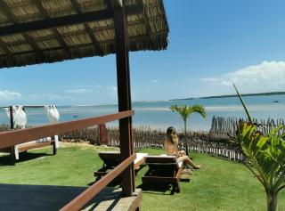 Beach Bungalow-KiteAliCori - Luis Correia - 3