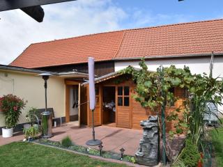 Apartment in the Harz Mountain with terrace - Veckenstedt - 9