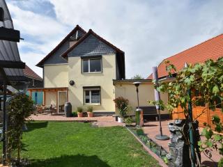 Apartment in the Harz Mountain with terrace - Veckenstedt - 4