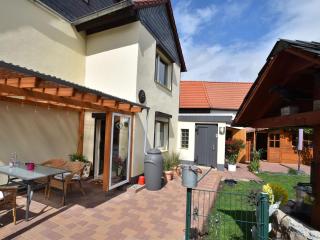 Apartment in the Harz Mountain with terrace - Veckenstedt - 8