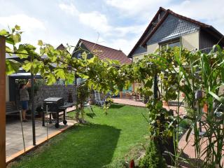 Apartment in the Harz Mountain with terrace - Veckenstedt - 3