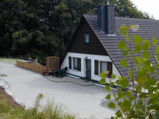 Nice holiday home near ski area - Medebach - 2