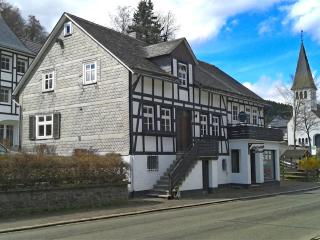 Cozy holiday home with WiFi in Hochsauerland - Elpe - 0