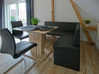 Large holiday home with roof terrace and garden - Mönkebude - 1