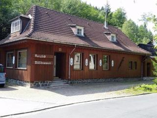 Apartment in the Upper Harz in Wildemann - Wildemann - 8