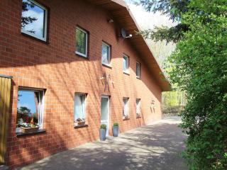 Apartment in Kirchdorf with Swimming Pool - Kirchdorf - 3