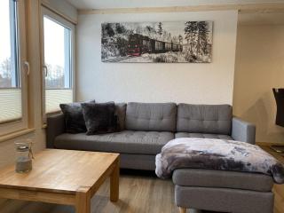 Detached holiday home in the Harz with wood stove - 9