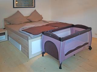 Spacious Apartment in Upper Harz - Wildemann - 8
