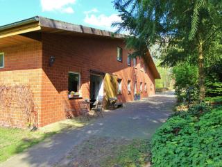 Apartment in Kirchdorf on a riding stables - Kirchdorf - 5