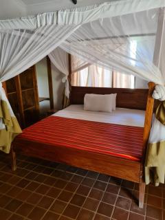 Honey Badger Lodge - Moshi - 9
