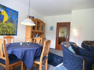 Cosy apartment over Usseln with private terrace - Willingen - 8
