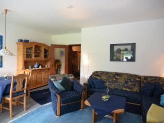 Cosy apartment over Usseln with private terrace - Willingen - 9