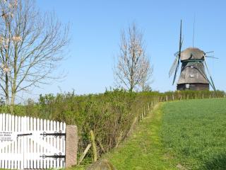 Beautiful authentic mill close to the beach - Wangels - 1