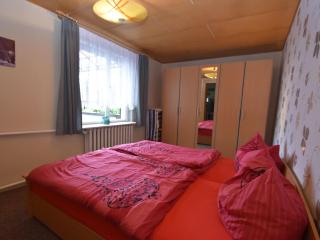 Holiday home in Cattenstedt Harz with garden - Cattenstedt - 3