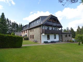 Holiday Home in Kalterherberg with Sauna - Alzen - 0
