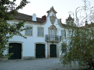 Casa dos Barros Winery Lodge by Vintage Theory - Sabrosa - 4