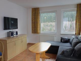 Holiday home in Willingen with ski lift nearby - Willingen - 8