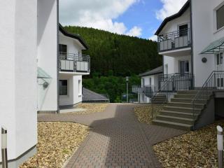 Ferienhaus in Willingen mit Skilift in der Nähe - 5