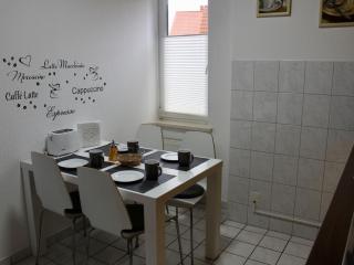 Classic holiday home in the Harz Mountains - Ilsenburg - 1