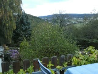 Apartment in Morbach with garden - Thalfang - 9