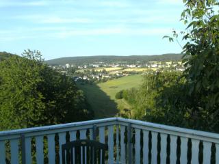 Apartment in Morbach with garden - Thalfang - 2