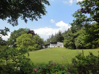 Holiday home in Kleinich with sauna - Kleinich - 4